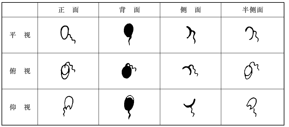 瑜伽教程,瑜伽圖片,瑜伽常識(shí),瑜伽體式
