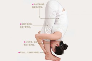 瑜伽體式-增延脊柱伸展式