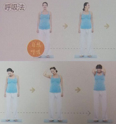 呼吸法：自然呼吸