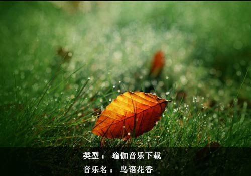 瑜伽音樂(lè)下載：鳥(niǎo)語(yǔ)花香