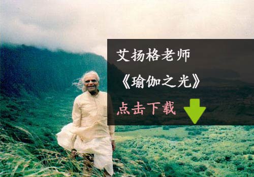 瑜伽電子書-艾揚格-瑜伽之光下載