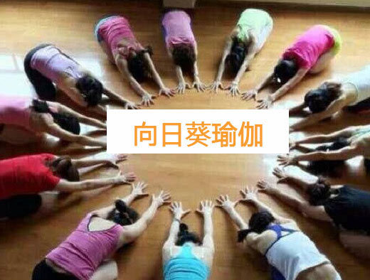 南京向日葵瑜伽會館
