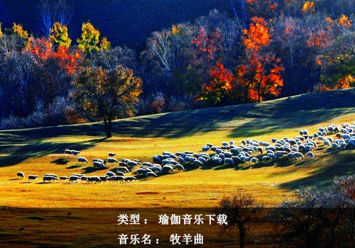 瑜伽音樂下載：牧羊曲