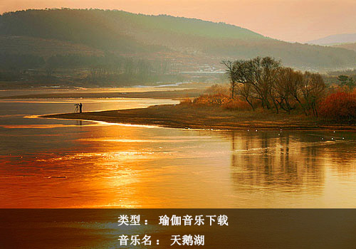 瑜伽音樂(lè)下載：天鵝湖