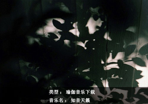 瑜伽音樂(lè)下載：知音天籟