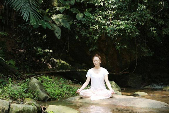 胡靜林間瑜伽照，被贊仙氣十足