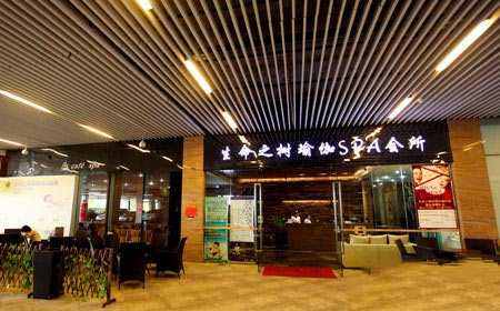 深圳生命之樹瑜伽館