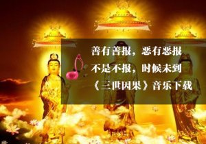 陳星版《三世因果》善念之歌下載