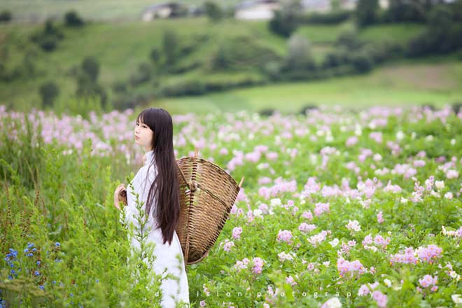 駱駝式，讓你告別“小腹婆”