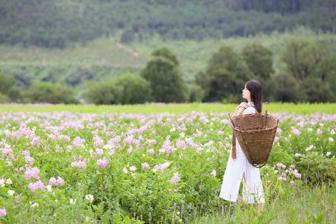 食欲抑制與蓮花式減肥
