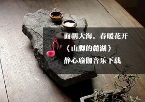《瑜伽音樂下載》靈氣養(yǎng)心