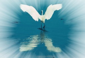 王媛老師瑜伽會館舞韻馬上開課了