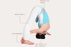 瑜伽體式-單腿脊柱前屈伸展式