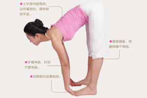瑜伽體式-簡(jiǎn)易鏟斗式