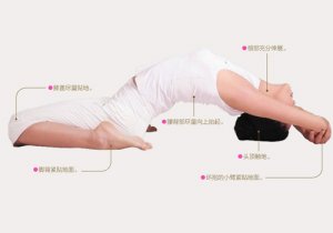 瑜伽體式-榻式
