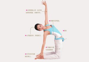 瑜伽體式-半駱駝式