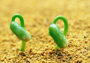 讓瑜伽與自己的心性聯(lián)結(jié)！