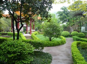 蕙蘭瑜伽學習休閑活動—廣州
