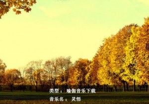 瑜伽音樂下載-靈悟