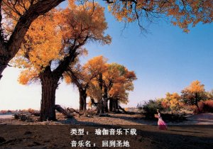 瑜伽音樂(lè)下載：回到圣地