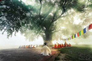 瑜伽疾病康復(fù)篇-各種急、慢性疾病
