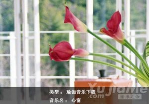 美麗的瑜伽心聲播放：心窗