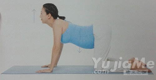 優(yōu)雅地伸懶腰，不腰疼2