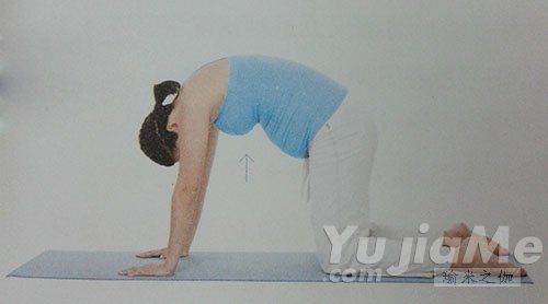優(yōu)雅地伸懶腰，不腰疼3