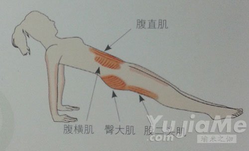 反向棒式動作效果