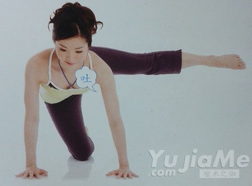 四足跪姿側抬腿3