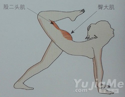 專屬于懶人的塑臀減肥瑜伽動作