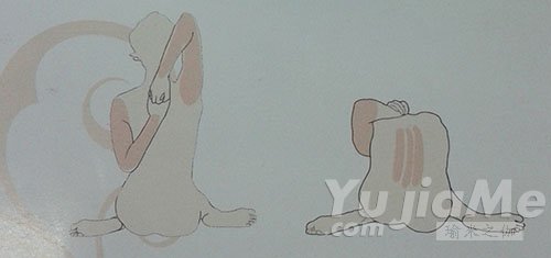 手臂和肩關(guān)節(jié)的伸展動作效果