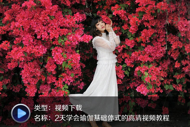20部瑜伽基礎(chǔ)體式的高清視頻-新手必備