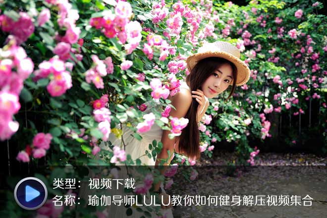 六部LULU高清瑜伽教學(xué)視頻合集