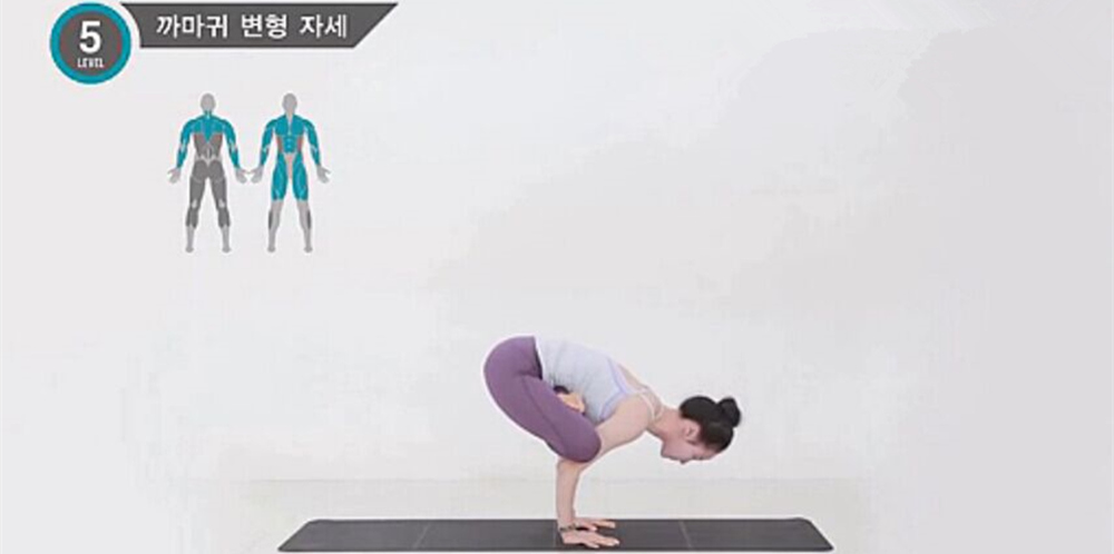 了解瑜伽動(dòng)作中的肌肉群（3）