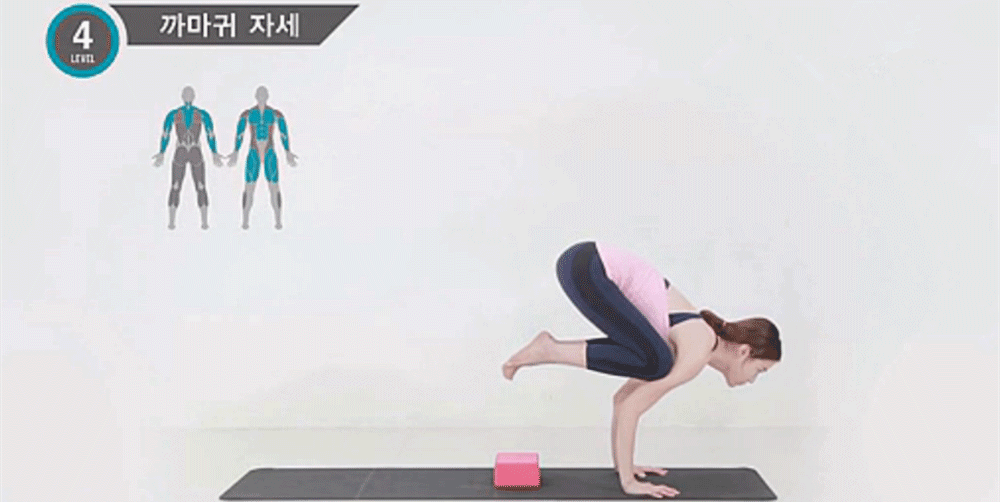 了解瑜伽動(dòng)作中的肌肉群（6）