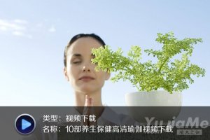 10部養(yǎng)生保健高清瑜伽視頻下載