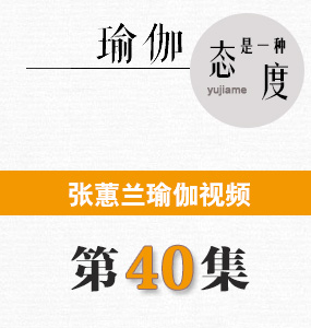 蕙蘭瑜伽視頻第40集