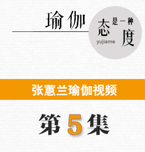 蕙蘭瑜伽視頻第5集